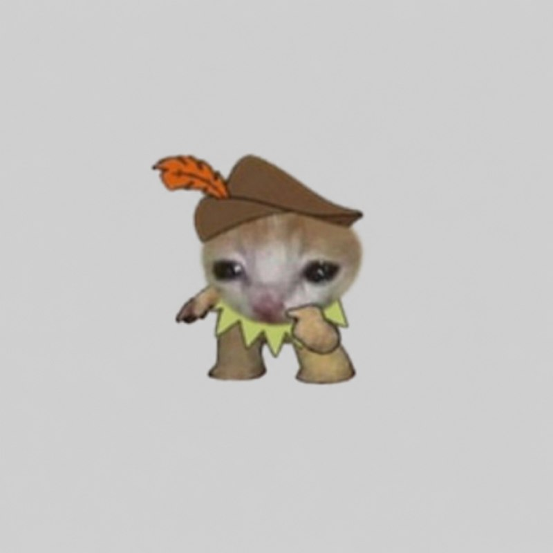 robin the mini wearing a brown hat with an orange feather